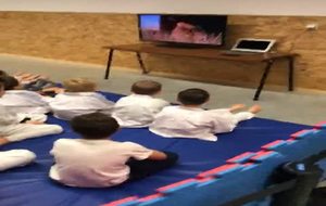 Séance cinéma pour les petits et judo pour les plus grands